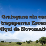 Jugar Gratogana sin cargo an una tragaperras Escenario Niqui de Novomatic