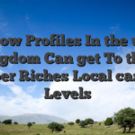 Just how Profiles In the united kingdom Can get To their Super Riches Local casino Levels