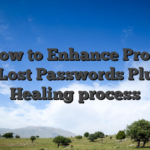 Just how to Enhance Problems with Lost Passwords Plus the Healing process