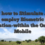 Just how to Stimulate And employ Biometric Indication-within the On your Mobile
