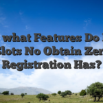 Just what Features Do Free Slots No Obtain Zero Registration Has?