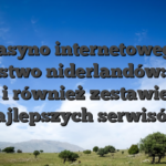 Kasyno internetowego Królestwo niderlandów: Rady jak i również zestawienia najlepszych serwisów