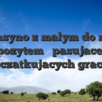 Kasyno z malym do nie depozytem � pasujace do poczatkujacych graczy