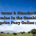 Key terms & Standards To examine In the Gambling enterprise Foxy Online game