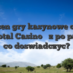 Kieszen gry kasynowe online na Total Casino � z po prostu co doswiadczyc?