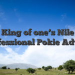 King of one’s Nile Professional Pokie Advice