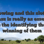 Knowing and this slots to bypass is really as essential while the identifying the new winning of them