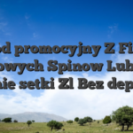 Kod promocyjny Z Fifty Darmowych Spinow Lub moze wlasnie setki Zl Bez depozytu