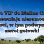 Konto VIP do Malina Casino zapewniaja niesamowite korzysci, w tym podwyzszony zwrot gotowki