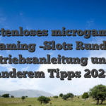 Kostenloses microgaming Gaming -Slots Runde, Betriebsanleitung unter anderem Tipps 2025
