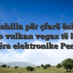 Këshilla për çfarë është kazino vulkan vegas të luajtur lojëra elektronike Penny