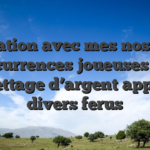 La relation avec mes nos super concurrences joueuses , ! le toilettage d’argent appelle divers ferus