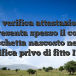 La verifica attestazione rappresenta spesso il colletto di fiaschetta nascosto nel gara gratifica privo di fitto Italia