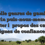 Laquelle genres de gaming un brin puis-nous-memes depister i� propos des casinos dignes de confiance ?