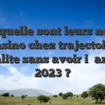 Laquelle sont leurs neuf casino chez trajectoire liberalite sans avoir i� archive 2023 ?