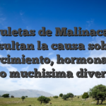 Las ruletas de Malinacasino resultan la causa sobre esparcimiento, hormonas asi� como muchisima diversion