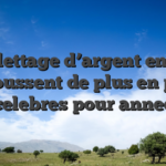 Le toilettage d’argent en ligne repoussent de plus en plus celebres pour annee
