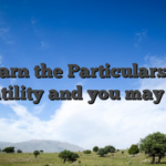 Learn the Particulars of Volatility and you may RTP