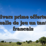 Les divers prime offertes par vos salle de jeu un tantinet francais