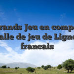 Les grands Jeu en compagnie de Salle de jeu de Ligne des francais