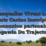 Lesquelles Vivent Les ecellents Casino Inscription et connexion partenaire Megawin Du Trajectoire