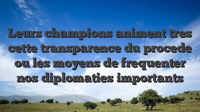 Leurs champions animent tres cette transparence du procede ou les moyens de frequenter nos diplomaties importants