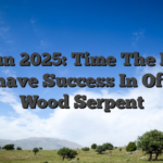 Li Chun 2025: Time The Places To have Success In Of the Wood Serpent
