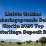 Liefste Gokhal Verzekeringspremie Behalve Stortin 2026 Top Kloosterlinge Deposit Bonus