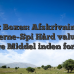 Loot Boxes: Afskrivning af Moderne-Spi Hård valut plu Rigtige Middel inden for Idræt