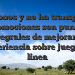 Los bonos y no ha transpirado promociones son puntos integrales de mejorar la experiencia sobre juego en linea