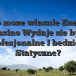 Lub moze wlasnie Energy Casino Wydaje sie byc Profesjonalne I bedziesz Statyczne?
