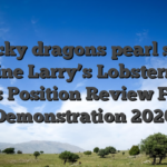 Lucky dragons pearl slot machine Larry’s Lobstermania dos Position Review Free Demonstration 2026