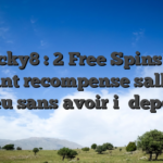 Lucky8 : 2 Free Spins en tenant recompense salle de jeu sans avoir i� depot