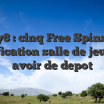 Lucky8 : cinq Free Spins avec gratification salle de jeu sans avoir de depot