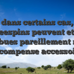 Mais dans certains cas, leurs freespins peuvent etre attribues pareillement mien recompense accessoire