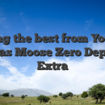 Making the best from Your Las vegas Moose Zero Deposit Extra