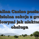 Malina Casino posiada oddzielna sekcje z grami stolowymi jak niektore z obsluga