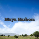 Maya Harbors