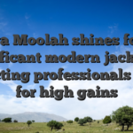 Mega Moolah shines for its significant modern jackpots, attracting professionals eager for high gains