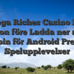 Mega Riches Casino Din Position före Ladda ner appen hitnspin för Android Premium Spelupplevelser