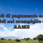 Metodi di pagamento ancora rapidi nei scompiglio non AAMS