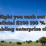 Might you cash out a beneficial $100 100 % free gambling enterprise chip?