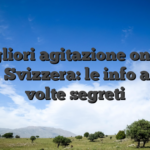 Migliori agitazione online sopra Svizzera: le info ancora volte segreti