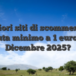 Migliori siti di scommesse in tenuta minimo a 1 euro nel Dicembre 2025?