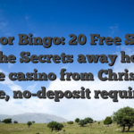 Mirror Bingo: 20 Free Spins for the Secrets away horror castle casino from Christmas time, no-deposit required!