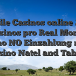 Mobile Casinos online 2026 Casinos pro Real Money Casino NO Einzahlung mafia casino Natel and Tablet