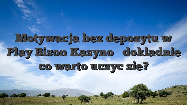 Motywacja bez depozytu w Play Bison Kasyno � dokladnie co warto uczyc sie?