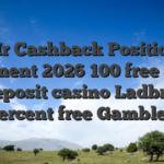 Mr Cashback Position Comment 2026 100 free spins no deposit casino Ladbrokes 100 percent free Gamble Trial