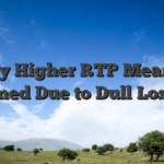 My Higher RTP Means (Learned Due to Dull Losings)