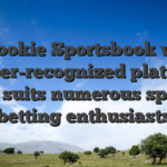MyBookie Sportsbook was a proper-recognized platform one suits numerous sports betting enthusiasts